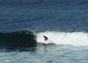 DSCF0302~2